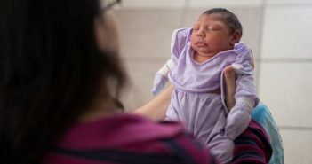 Scoperto al San Raffaele di Milano come il virus Zika infetta il feto