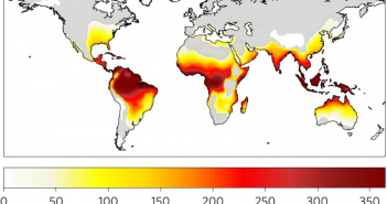 Ondate di caldo letali: a rischio il 74% della popolazione mondiale!