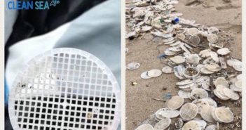 SI ESPANDE IL DISASTRO AMBIENTALE DEI DISCHETTI DI PLASTICA SULLE SPIAGGE ITALIANE DEL TIRRENO
