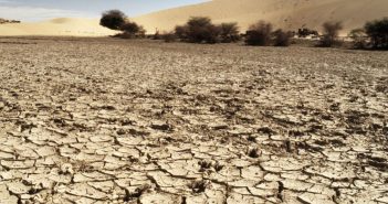 Il 20% dell’Italia è a rischio desertificazione! Ministero dell’Ambiente: “siamo in piena emergenza”!