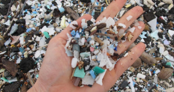 Anche la degradazione della plastica nell’ambiente produce gas serra (VIDEO)