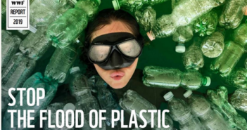 Ogni anno finiscono nel Mediterraneo 570 mila tonnellate di plastica