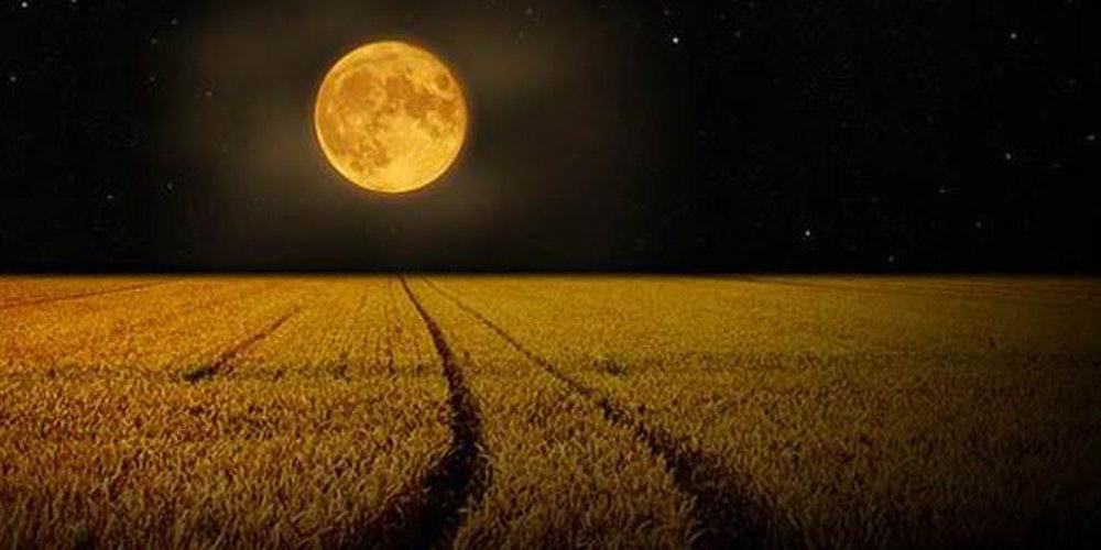 Risultati immagini per luna d'autunno