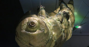 Abbiamo immesso (accidentalmente) dei mini invertebrati sul suolo della Luna, e ora si pensa al loro recupero