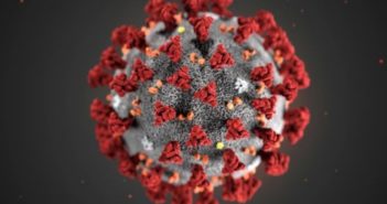 “Nature” rivela: «Il virus ha origine naturale, iniziata con i pipistrelli 140 anni fa»