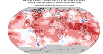 Luglio 2020 è stato il più caldo mai registrato nell’emisfero settentrionale e il 2° più caldo a livello globale