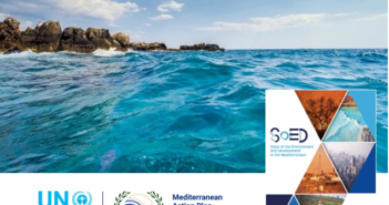 Il bacino del Mediterraneo sta subendo danni ambientali ormai irreversibili (VIDEO)
