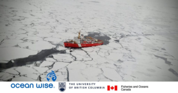 L’Oceano Artico è letteralmente “invaso” dalle fibre sintetiche