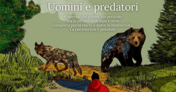 Fake news e precisazioni su lupi e orsi in Italia