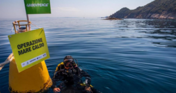 Il mare italiano è sempre più caldo e perde sempre più biodiversità