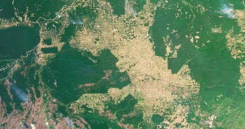 Amazzonia: la deforestazione riduce le piogge