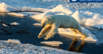Nel 2021 livelli record di calore accumulato nell’Oceano, nonostante il raffreddamento de La Niña