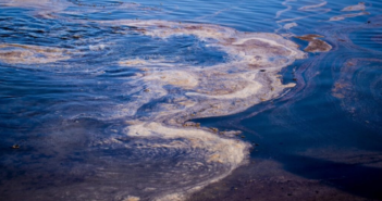 Marea nera in California: greggio sulle spiagge e in una zona protetta