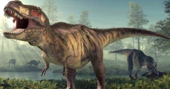 C’è un “nuovo” tirannosauro, gli scienziati hanno identificato l’antenato più prossimo dei leggendari T-Rex