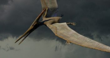 ๐ง๐ฒ๐บ๐ฝ๐ฒ๐๐๐ฒ ๐ฒ ๐ณ๐ผ๐๐๐ถ๐น๐ถ: ๐พ๐๐ฎ๐ป๐ฑ๐ผ ๐ด๐น๐ถ ๐ฒ๐๐ฒ๐ป๐๐ถ ๐ป๐ฎ๐๐๐ฟ๐ฎ๐น๐ถ ๐น๐ฎ๐๐ฐ๐ถ๐ฎ๐ป๐ผ ๐๐ฟ๐ฎ๐ฐ๐ฐ๐ฒ ๐ฒ๐๐ฒ๐ฟ๐ป๐ฒ