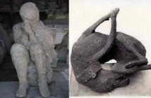 Le analisi del DNA svelano che le vittime del vulcano di Pompei non erano chi ci avevano sempre detto